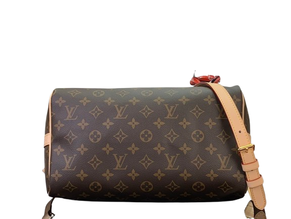 LOUIS VUITTON Speedy Bandoulière Tote Bag